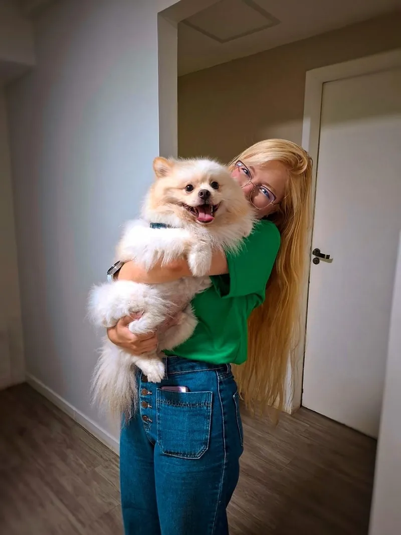 Lulu da Pomerânia no colo da tutora